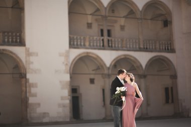 Güzel çift, erkek, kız uzun pembe elbise eski kale sütunlar yakınındaki poz ile. Krakow Vavel