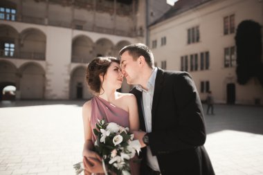 Mutlu düğün çift, damat, Gelin pembe elbise ile sarılma ve birbirlerine arka plan üzerinde gülümseyen duvarlar kalede