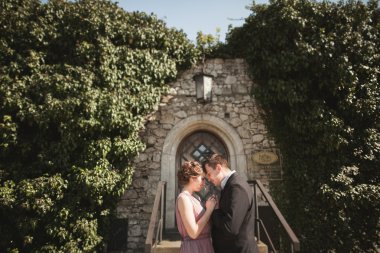 Sarılma ve öpüşme arka plan güzel bitkiler üzerinde lüks Düğün çifti mağara antik kale