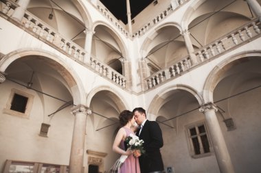 Mutlu düğün çift, damat, Gelin pembe elbise ile sarılma ve birbirlerine arka plan üzerinde gülümseyen duvarlar kalede