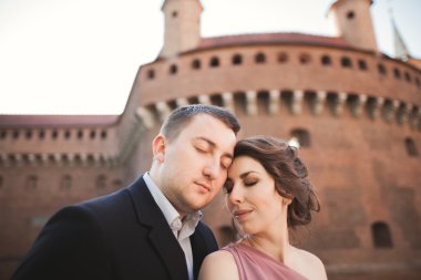 Mutlu düğün çift, damat, Gelin pembe elbise ile sarılma ve birbirlerine arka plan üzerinde gülümseyen duvarlar kalede