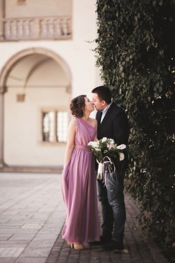 Mutlu düğün çift, damat, Gelin pembe elbise ile sarılma ve birbirlerine arka plan üzerinde gülümseyen duvarlar kalede