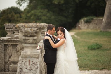 Mutlu düğün kaç sarılma ve öpüşme üzerinde arka plan eski kale