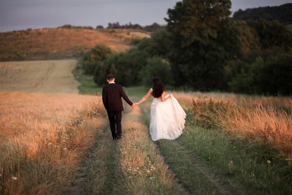 Hermosa pareja romántica de recién casados abrazándose en el parque en la puesta del sol —  Fotos de Stock