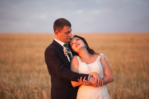 美丽浪漫的一对新婚夫妇在日落时分拥抱在公园里 — 图库照片