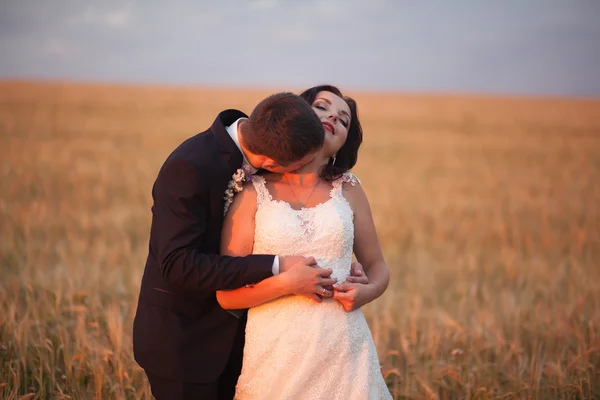 Hermosa pareja romántica de recién casados abrazándose en el parque en la puesta del sol —  Fotos de Stock