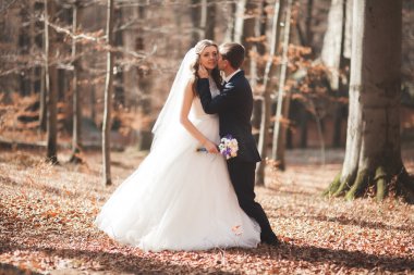 Muhteşem düğün çift öpüşme ve orman büyük kayalar ile sarılma