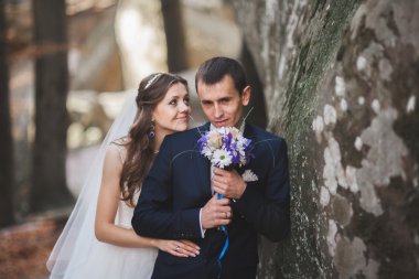 Muhteşem düğün çift öpüşme ve orman büyük kayalar ile sarılma