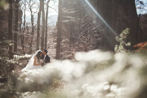 Lindo casamento casal beijos e abraços na floresta com grandes pedras — Fotografia de Stock