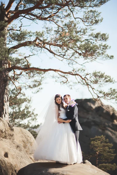 Hermosa pareja de boda besándose y abrazándose en el bosque con grandes rocas —  Fotos de Stock