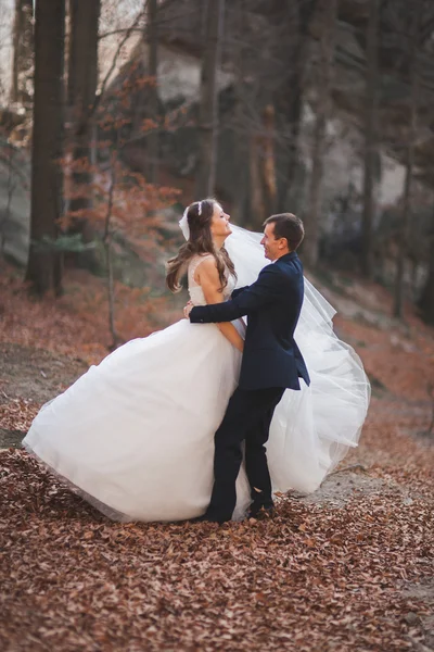 Gorgeous wedding couple kissing and hugging in forest with big rocks — Stock Photo, Image