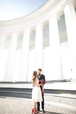 Güzel çift, gelin ve damat büyük beyaz sütun poz