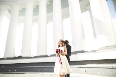 Güzel çift, gelin ve damat büyük beyaz sütun poz