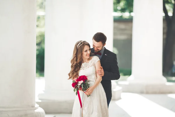 Lusso coppia di matrimoni sposati, sposa e sposo posa nella città vecchia — Foto Stock