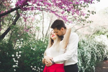 Genç güzel çift öpüşme ve ağaçları ile çiçeği yaz Park yakınındaki sarılma