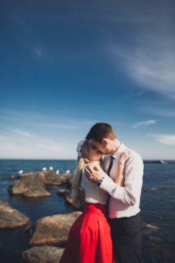 Sevimli gelin, manzara, dağlar ve denizin muhteşem Düğün çifti üzerinde zarif damat