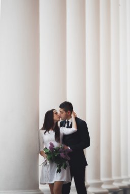 Güzel çift, gelin ve damat büyük beyaz sütun poz