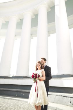 Güzel çift, gelin ve damat büyük beyaz sütun poz
