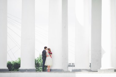 Güzel çift, gelin ve damat büyük beyaz sütun poz