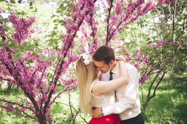 Joven hermosa pareja besándose y abrazándose cerca de los árboles con flor en el parque de verano —  Fotos de Stock