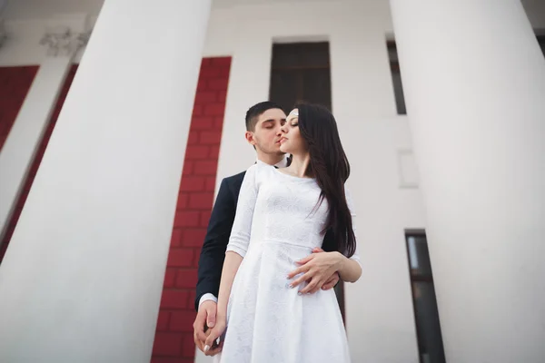Красива пара, наречена і наречений позує біля великої білої колони — стокове фото