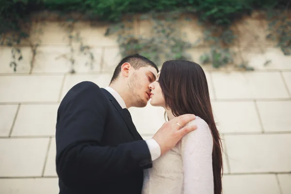 Merveilleux couple de mariage de luxe posant près de grand mur — Photo