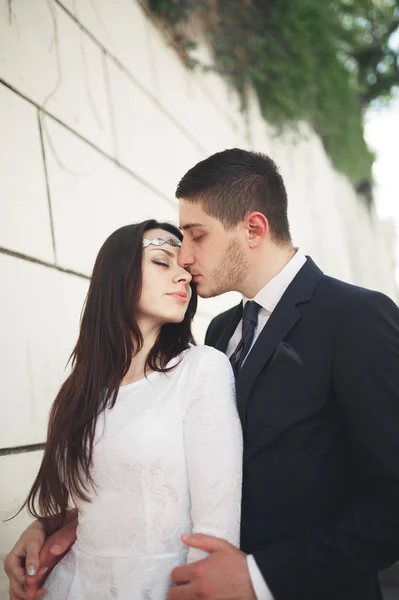 Maravillosa pareja de boda de lujo posando cerca de gran pared —  Fotos de Stock