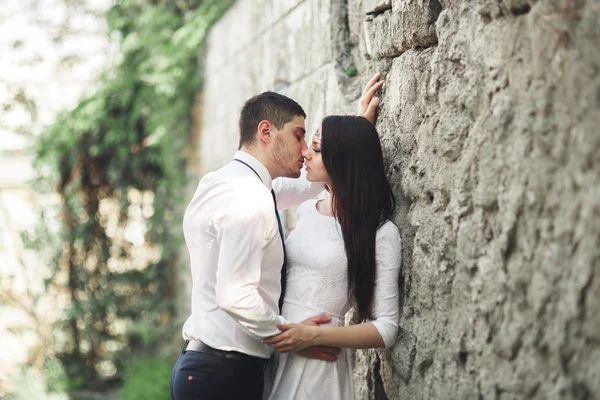 Hermoso recién casados posando cerca de la hermosa pared de plantas arbustos árboles en el día de su boda — Foto de Stock