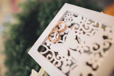 lüks alyans yaprakları ve çim üzerinde yalan