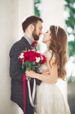 Güzel çift, gelin ve damat büyük beyaz sütun poz