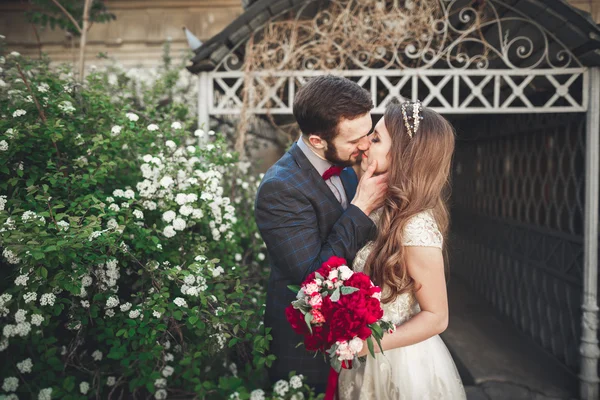 Kissing wedding couple in spring nature close-up portrait — Stock Photo, Image