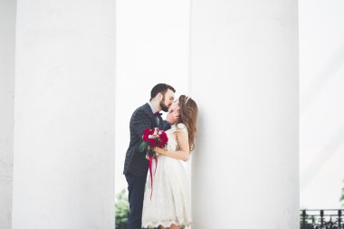 Güzel çift, gelin ve damat büyük beyaz sütun poz