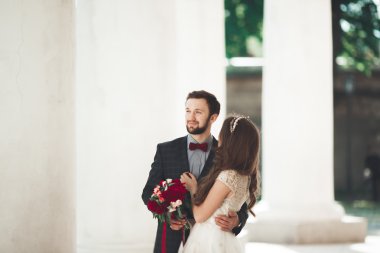 Güzel çift, gelin ve damat büyük beyaz sütun poz