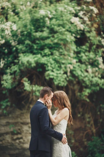 Happy wedding couple hugging and smiling each other on the background gorgeous plants in castle — Stock Photo, Image