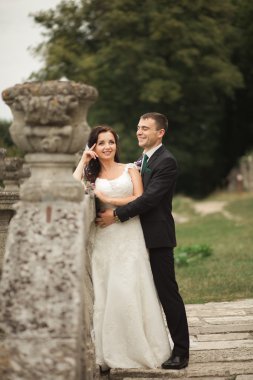 Mutlu düğün kaç sarılma ve öpüşme üzerinde arka plan eski kale