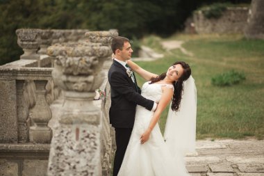 Mutlu düğün kaç sarılma ve öpüşme üzerinde arka plan eski kale