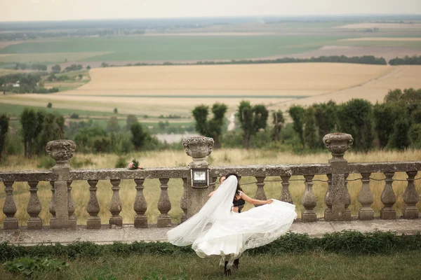 Mutlu düğün kaç sarılma ve öpüşme üzerinde arka plan eski kale