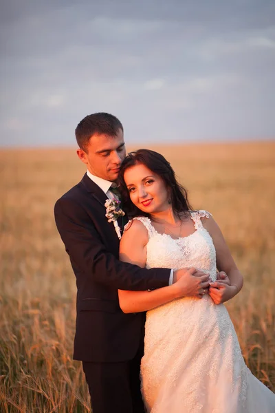 Красива романтична весільна пара молодят обіймається в парку на заході сонця — стокове фото