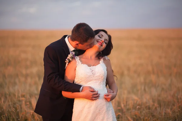 Hermosa pareja romántica de recién casados abrazándose en el parque en la puesta del sol — Foto de Stock