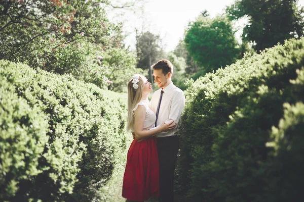 Unga vackra par kyssas och kramas nära träd med blossom i sommaren park — Stockfoto