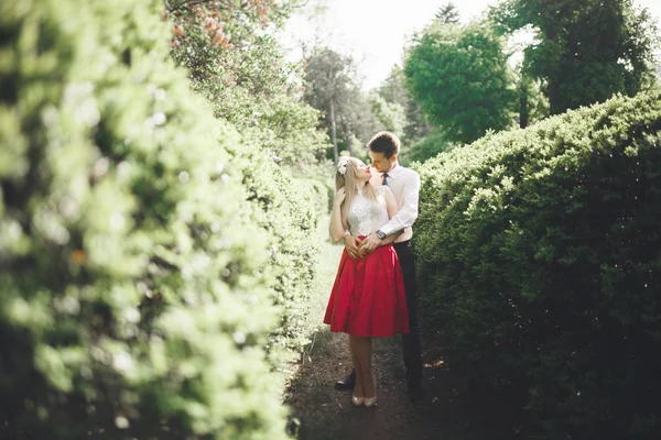 Stilvolle schöne glückliche Hochzeitspaar küsst und umarmt im botanischen Garten — Stockfoto