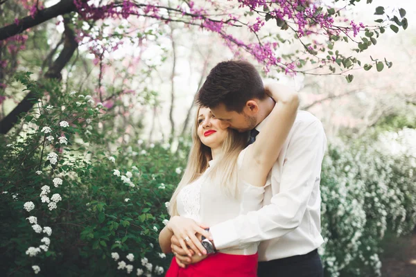 Genç güzel çift öpüşme ve ağaçları ile çiçeği yaz Park yakınındaki sarılma