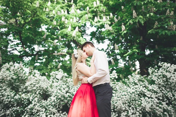 Молодая красивая пара целуется и обнимается возле деревьев с цветами в летнем парке — стоковое фото