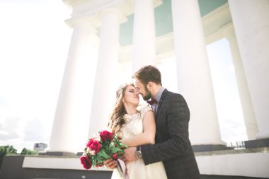 Güzel çift, gelin ve damat büyük beyaz sütun poz