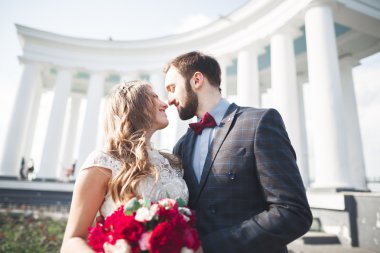 Güzel çift, gelin ve damat büyük beyaz sütun poz