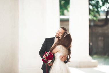 Güzel çift, gelin ve damat büyük beyaz sütun poz