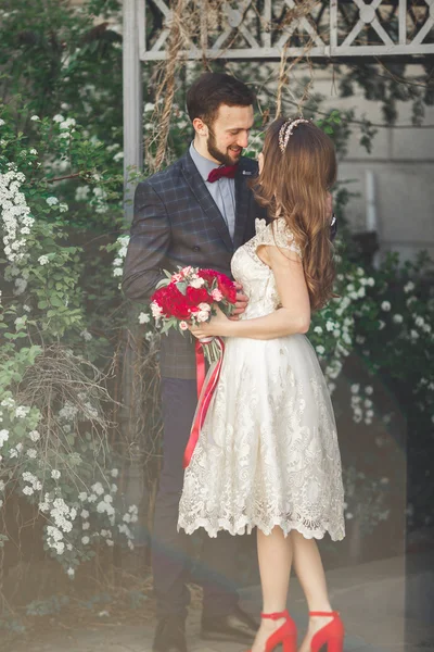 Besos boda pareja en primavera naturaleza primer plano retrato —  Fotos de Stock