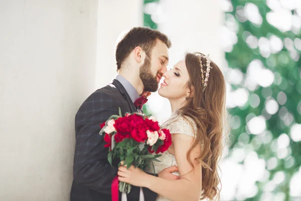 Luxus házaspár, menyasszony és vőlegény pózol az óvárosban — Stock Fotó