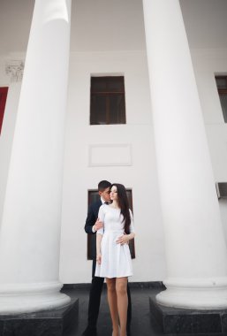 Güzel çift, gelin ve damat büyük beyaz sütun poz