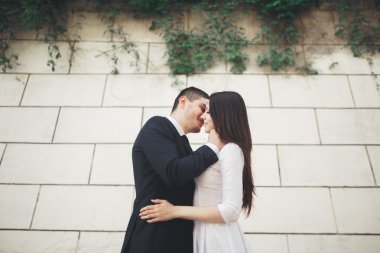 Harika lüks Düğün çifti büyük duvara yakın poz